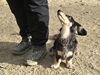 アイコンタクト