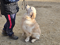 アイコンタクト