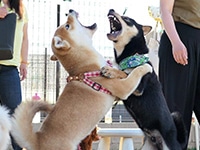 その他のお悩み