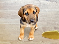 その他のお悩み